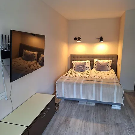 Apartamentai Auris *