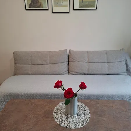 Apartamentai Auris