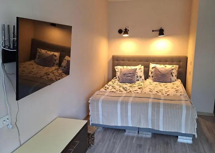 Apartamentai Auris *