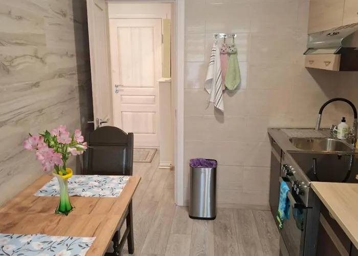 Apartamentai Auris * Druskininkai